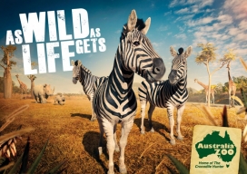 Australia Zoo澳大利亚动物园平面广告