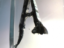 Evolution of Type, Exhibit英文字牌设计