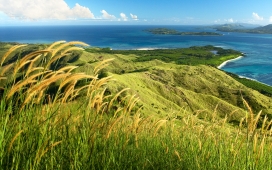 春熙-高清晰大自然绿色美景