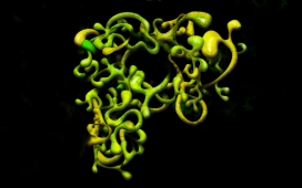 老外稀奇古怪的完整的图文并茂字母排版