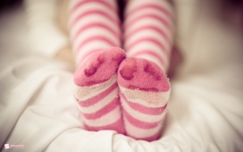 高清晰斑马条纹粉红袜的双脚