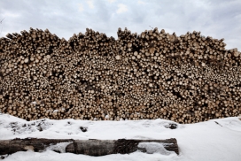木材加工厂记录照片