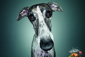 Perdigão宠物食品平面广告