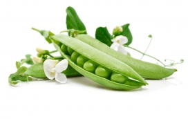 高清晰蔬菜写真-豌豆壁纸