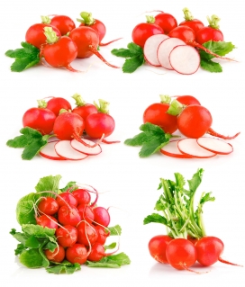 高清晰新杂交品种蔬菜-西红柿红萝卜壁纸