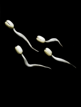 Natural Beauty自然美-丹麦海宁Stefan Steinn摄影师作品