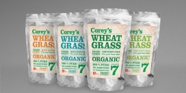 小冰棍-它分布在咖啡馆和果汁酒吧和在荒地商店也都直接向消费者