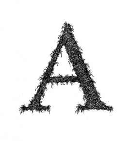 镜中镜-26个手工制作的英语字母字体-德国德累斯顿Jenny Noak字体设计师作品