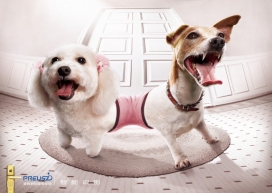 普鲁狮智能安全锁智能识别平面广告