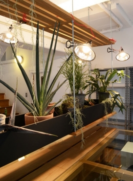 DM0现代办公室概念空间建筑-CHEKHOV设计师作品