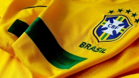 CBF-巴西球衣微距摄影欣赏