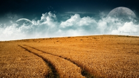 一个梦幻般的世界-金黄麦田风景壁纸