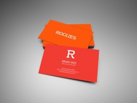 Rogues Gallery企业名片品牌设计-爱尔兰都柏林Lukasz Kulakowski设计师作品