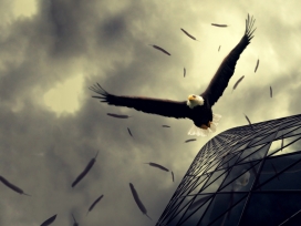 杀出重围-老鹰从天降落