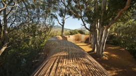 南非西开普-农场上种植百合花形状像蛇一样的木材隧道-Patrice Taravella设计师作品