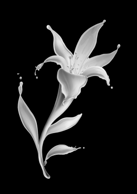 Milk Flowers牛奶花-纽约Eli Maier & Alexandra Leroy概念设计师作品