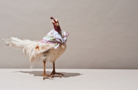 娘娘腔油炸食品厨房品牌-美国Tractorbeam品牌设计机构作品