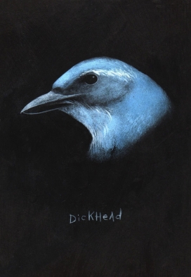 Mean Birds鸟类插画-美国amy ruppel插画师作品