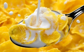 金黄油煎饼与牛奶花壁纸