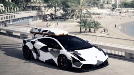 奥尔森的兰博基尼汽车