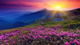 阳光照耀过的群山鲜花美景