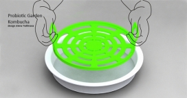 红茶菌沸腾茶饮料过滤器-波兰华沙Alena Trafimava工业和环境设计师作品