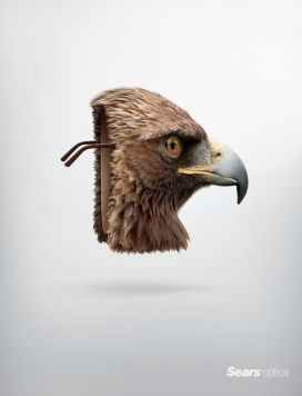 Sears Optical眼镜平面广告-给您老鹰猫的眼睛