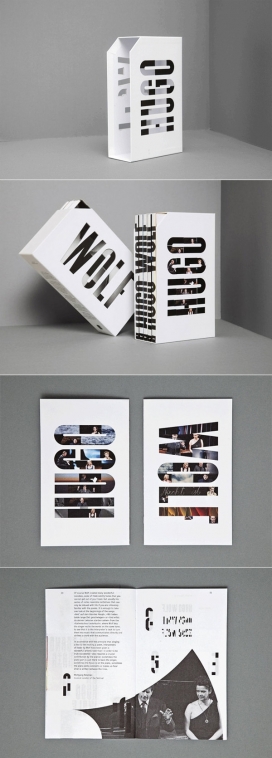 雨果・沃尔夫利德实验室品牌设计-奥地利维也纳tobias schererbauer设计师作品