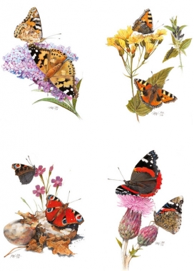 Postcards明信片插画-丹麦Peter Nielsen插画师作品