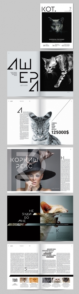 О, МОЙ КОТ!猫的品牌宣传设计-俄罗斯莫斯科Paley Oksana品牌设计师作品