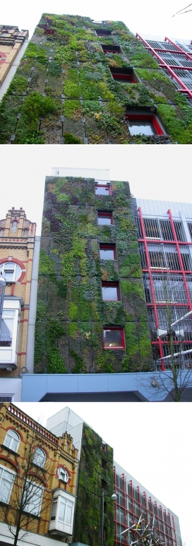 爬满绿色植物门面的车库-荷兰马斯特里赫特Rob Ubachs建筑师作品