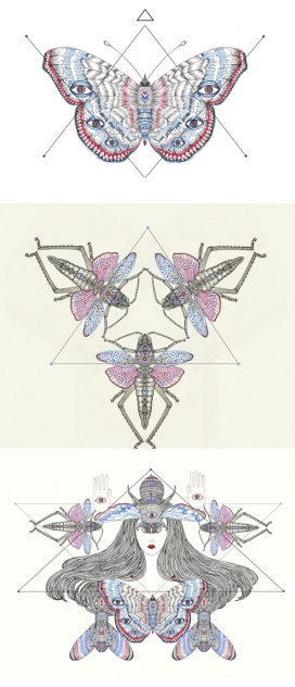 昆虫标本插画-泰国曼谷插画师PAVISA MEESEENON作品