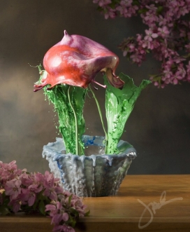 高速摄像头捕捉抓拍的飞溅液体“植物”花瓣水花-增稠剂颜料和染料水混合，产生这些宏伟迷人的图像
