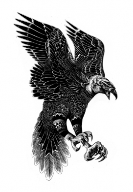 黑白手绘动物插画-英国iain macarthur插画师作品