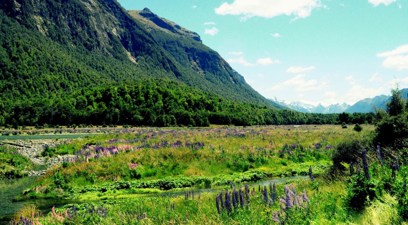 漂亮的绿色山脚下自然风景图片