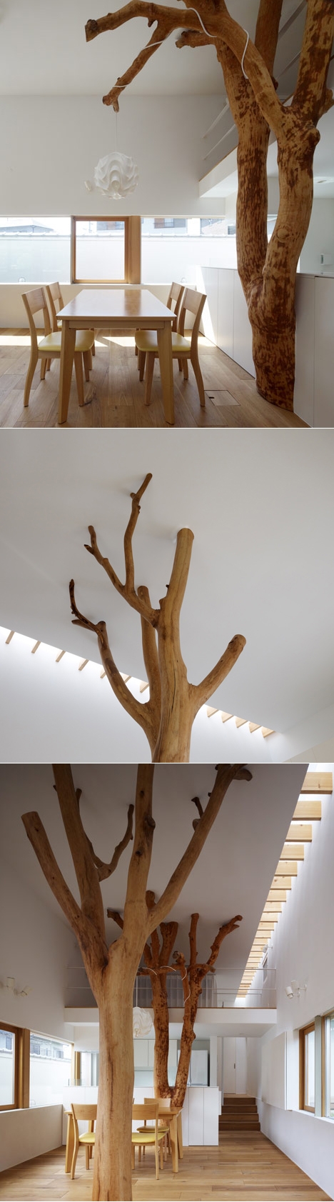 花园树屋-日本Hironaka Ogawa创意建筑师作品封面大图