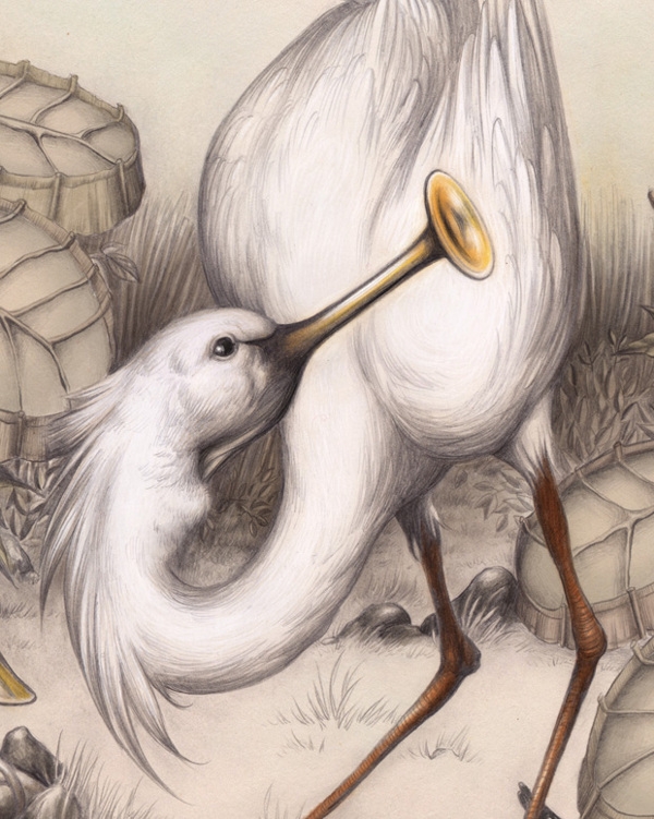 爵士鸟插画-荷兰鹿特丹Sabine ten Lohuis插画师作品图片