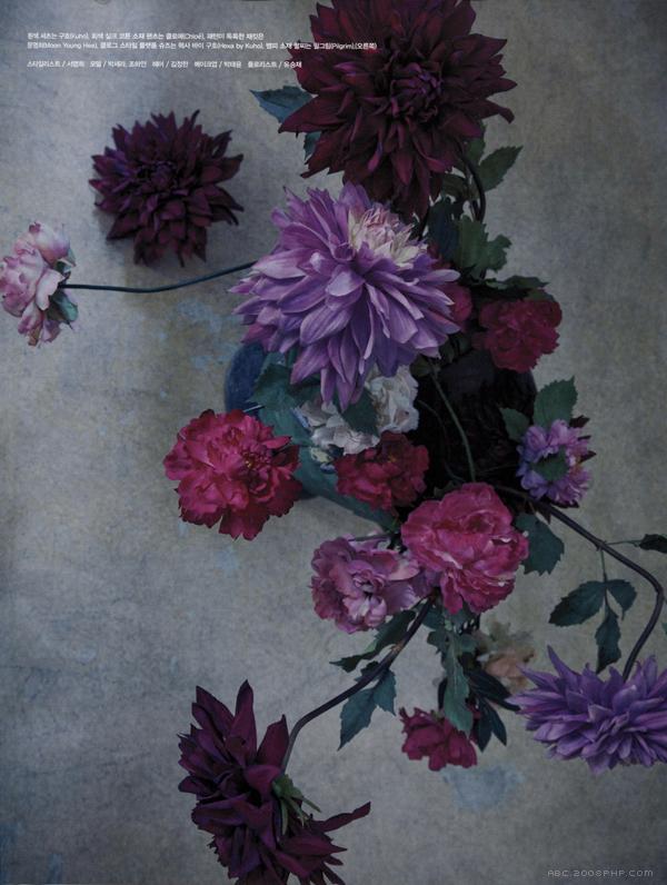 Miss Invisible-亚洲风味隐形花树妹,各种各样丰富色彩的花朵,树枝和灌木为点缀-Vogue韩国纯粹的艺术---酷图编号2