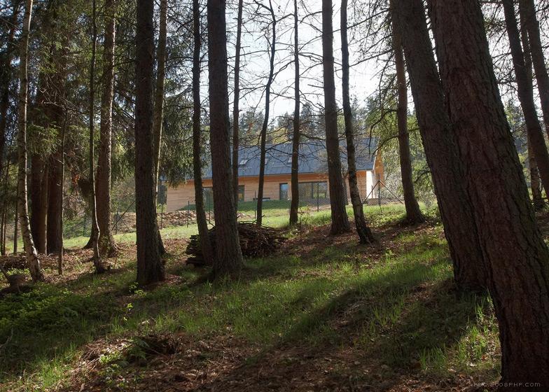 三角木屋---酷图编号11