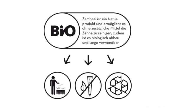 Zambesi-现代技术结合传统自然的电动牙刷---酷图编号5