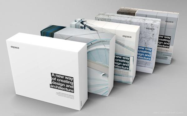 Espace建筑发展行业品牌设计-干净而简约的形式---酷图编号10