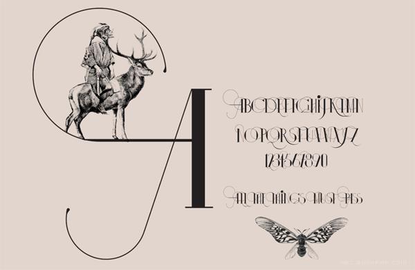 伊莎多拉字母书法插画字体设计-漂亮的细花纹版,字母结合动物组合设计---酷图编号21