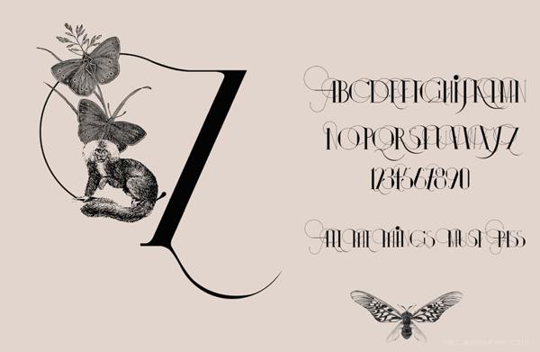 伊莎多拉字母书法插画字体设计-漂亮的细花纹版,字母结合动物组合设计---酷图编号20
