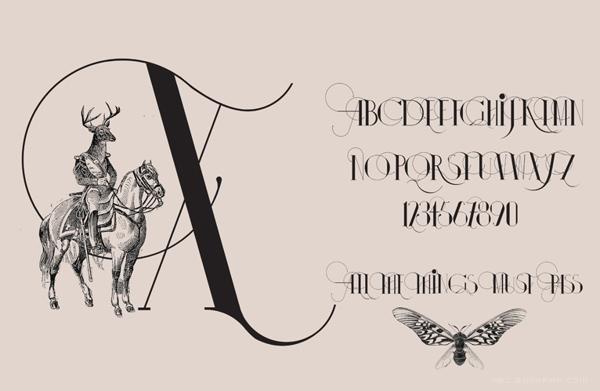 伊莎多拉字母书法插画字体设计-漂亮的细花纹版,字母结合动物组合设计---酷图编号19