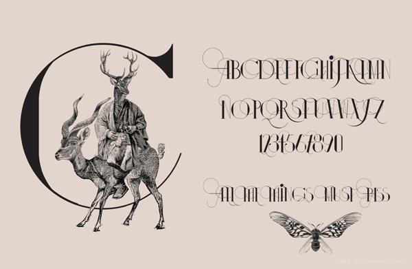 伊莎多拉字母书法插画字体设计-漂亮的细花纹版,字母结合动物组合设计---酷图编号17