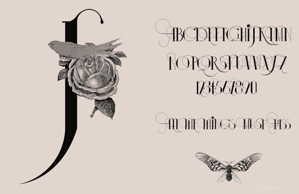 伊莎多拉字母书法插画字体设计-漂亮的细花纹版,字母结合动物组合设计---酷图编号16