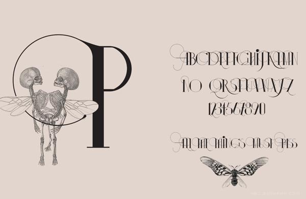 伊莎多拉字母书法插画字体设计-漂亮的细花纹版,字母结合动物组合设计---酷图编号13