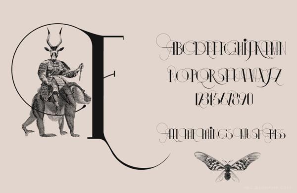 伊莎多拉字母书法插画字体设计-漂亮的细花纹版,字母结合动物组合设计---酷图编号12