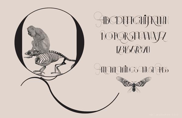伊莎多拉字母书法插画字体设计-漂亮的细花纹版,字母结合动物组合设计---酷图编号11