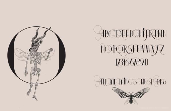 伊莎多拉字母书法插画字体设计-漂亮的细花纹版,字母结合动物组合设计---酷图编号10